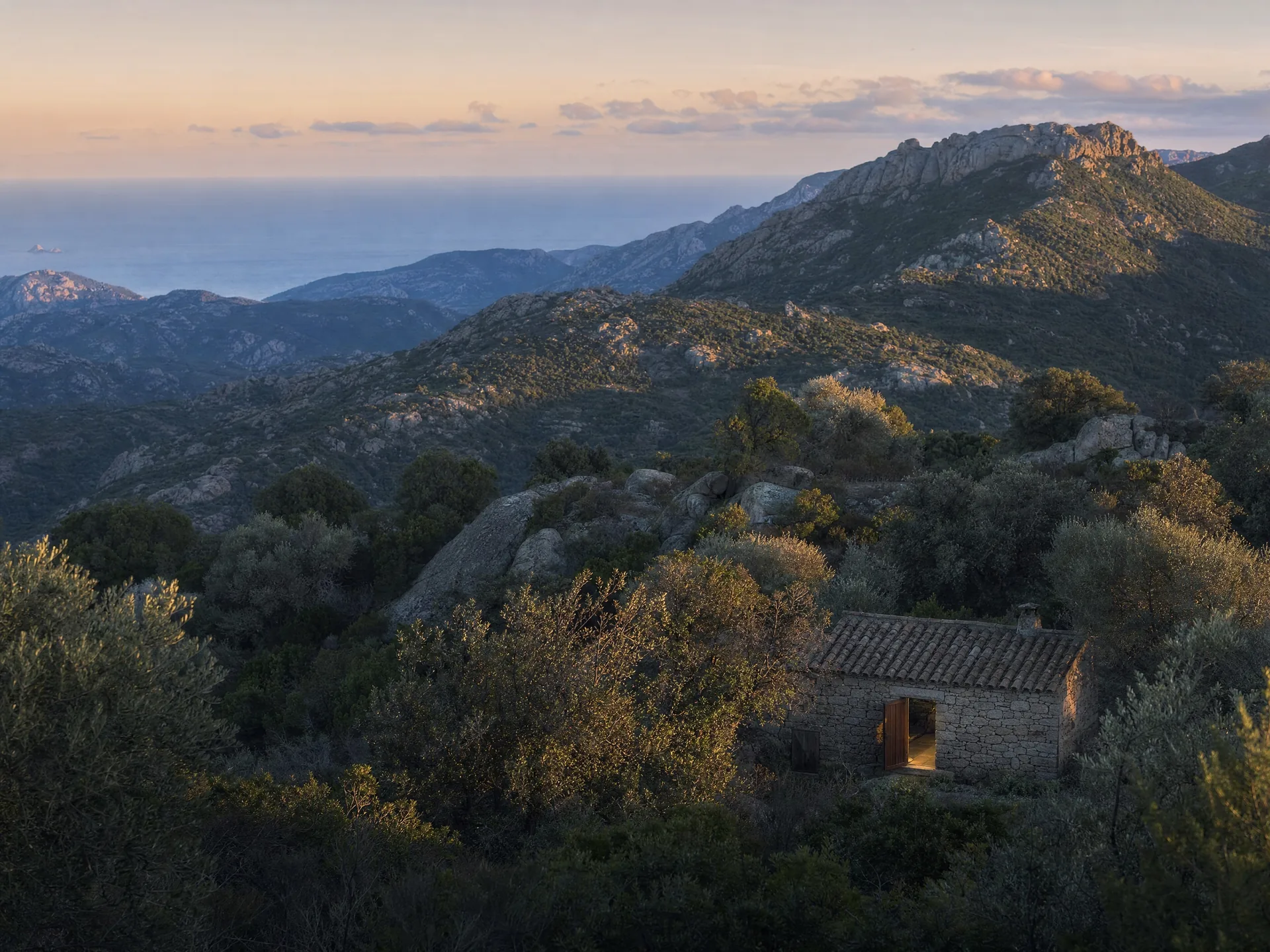Sardinian ingredients and wine